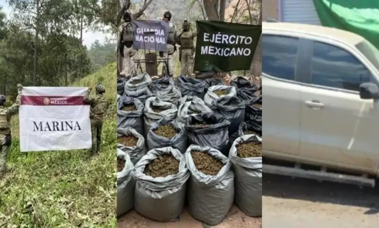 operativos del gabinete de seguridad dejan detenidos, armas y droga asegurada en siete estados