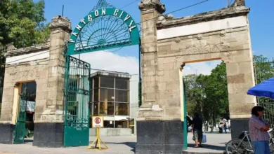 panteón civil de dolores, el cementerio más grande e histórico de méxico