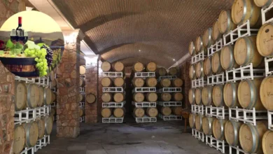 Vinos mexicanos que debes conocer Más allá del Valle de Guadalupe (Fotos Food and Travel Mexico, Forbes)