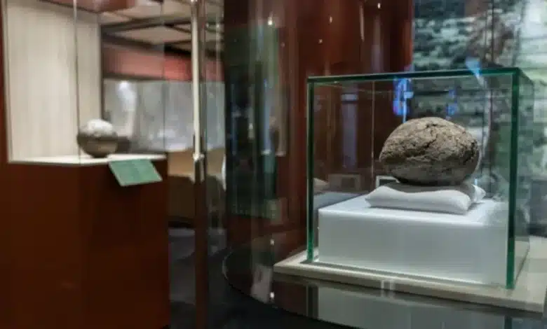 exhiben en teotihuacan pelota mesoamericana de 3,600 años proveniente de veracruz