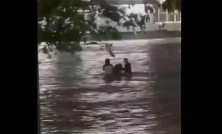tragedia en veracruz mueren padre e hijo en tragatormentas