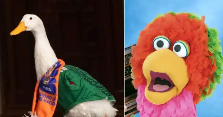 abelardo de plaza sesamo quiere conocer al pato merlín