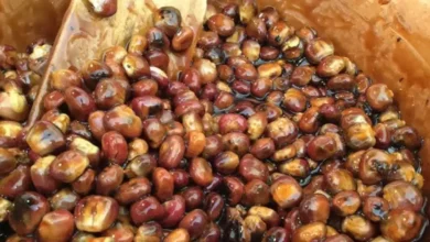 burritos de maíz, el dulce ancestral de tlaxcala que resiste al paso del tiempo