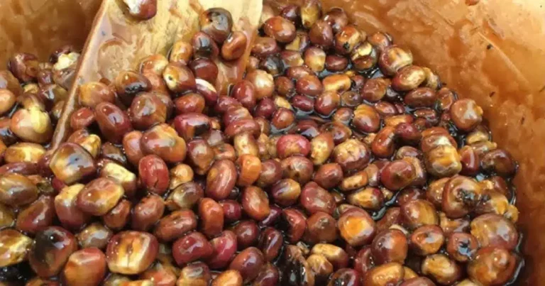 burritos de maíz, el dulce ancestral de tlaxcala que resiste al paso del tiempo