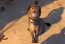 burro de shrek tendrá su propia película dreamworks confirma spin off con eddie murphy
