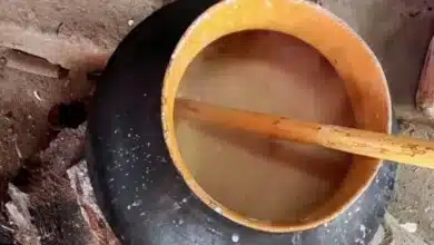 chone, la ancestral bebida oaxaqueña que preserva siglos de tradición gastronómica