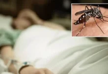 dengue en méxico reportan 4 fallecimientos y más de 2,000 casos en los primeros cinco meses de 2026