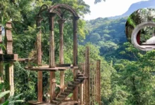 El laberinto surrealista de concreto que se esconde en la selva de Xilitla (Fotos por Getty Images y ArchDaily)