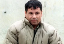 "El Chapo" suma 15 cartas a Corte de NY, exige su extradición (Foto de internet)