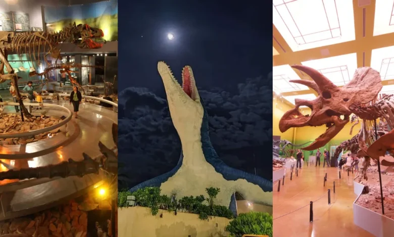 Mejores museos de dinosaurios en México (Fotos de internet y Jonathan Pineda)