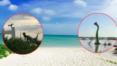 ¿Conocías la playa con dinosaurios de México? (Fotos de internet)
