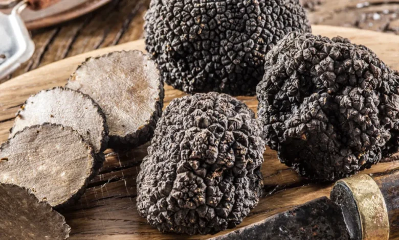 Platillos que resaltan el sabor de la trufa (Foto de internet)