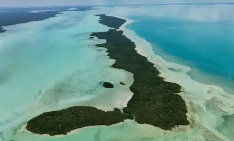 isla tamalcab, el tesoro escondido del caribe mexicano en el sur de quintana roo