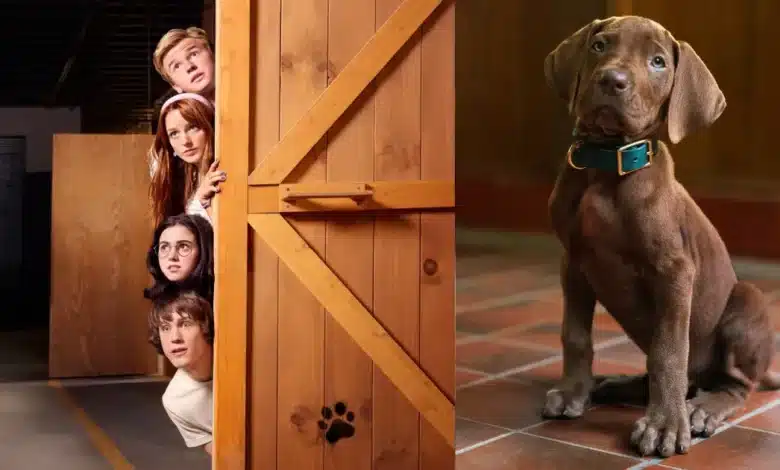 lanzan el primer tráiler de la serie scooby doo origins