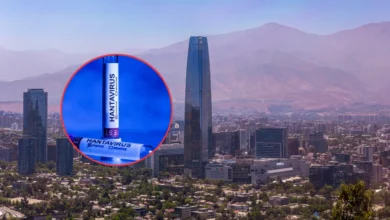 chile declara alerta sanitaria preventiva por hantavirus