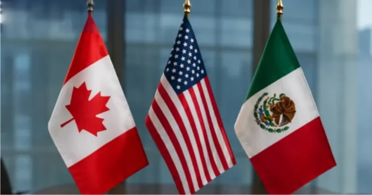 Estados Unidos apuesta por la estacionalidad durante negociación del T-MEC (Imagen de internet)