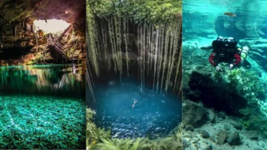 3 cenotes de Yucatán con aguas refrescantes y enigmáticos (Fotos de internet)