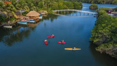 laguna de mandinga el destino de veracruz para disfrutar ostiones frescos y paseos entre manglares
