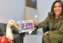 pato merlín protagoniza billete conmemorativo de la lotería nacional tras conquistar al mundial 2026