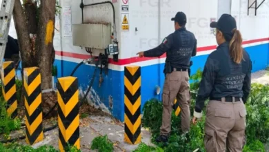 aseguran gas lp en presunta toma clandestina de veracruz