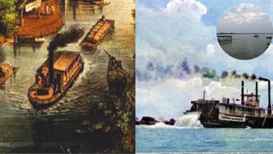 Gigantes de hierro sepultados: Los barcos de vapor sumergidos en el río Papaloapan (Fotos Wikipedia y redes sociales)