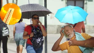 Protección Civil de Veracruz alerta por temperaturas extremas superiores a los 39°C por el paso de la canícula (Fotos El Universal y Canva)