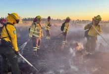 veracruz reduce incendios forestales respecto a 2025