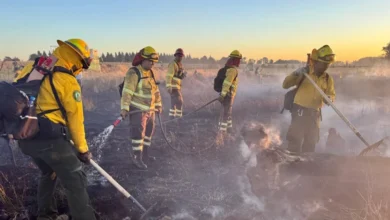 veracruz reduce incendios forestales respecto a 2025