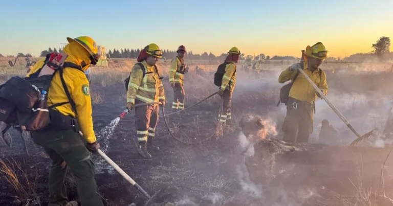 veracruz reduce incendios forestales respecto a 2025