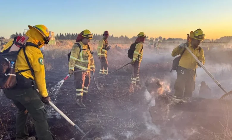 veracruz reduce incendios forestales respecto a 2025