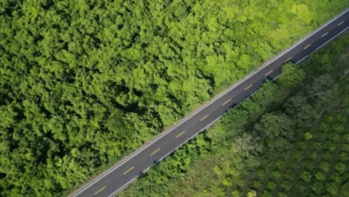 veracruz rehabilita 33 kilómetros de la carretera Álamo tihuatlán