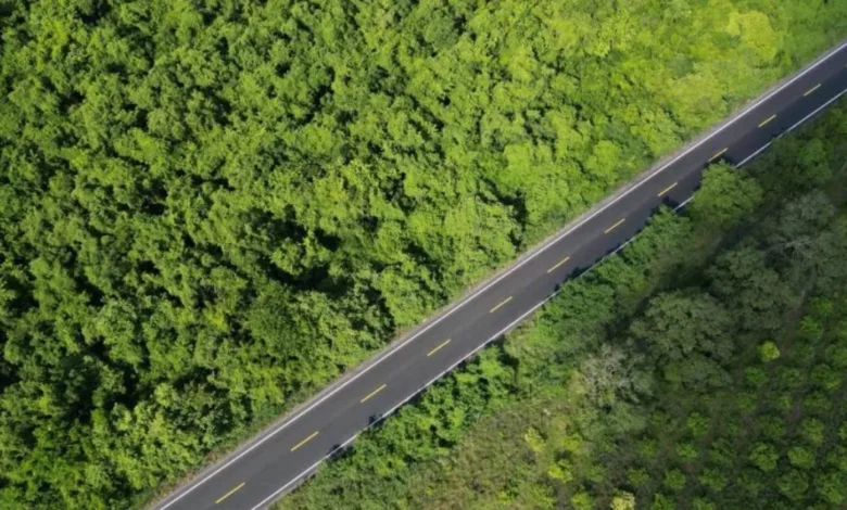 veracruz rehabilita 33 kilómetros de la carretera Álamo tihuatlán