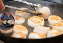 callo de hacha, el tesoro del mar que conquista la gastronomía mexicana
