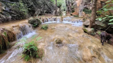 cañón del caracol, el impresionante teatro natural de luz y sombras escondido en sonora