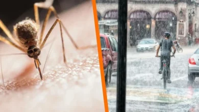 el error que multiplica los mosquitos durante la temporada de lluvias