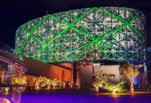 Gran Museo del Mundo Maya en Yucatán es un espectacular árbol de ceiba (Foto de Gran Museo del Mundo Maya de Mérida)