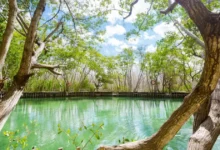 El Corchito en Yucatán: cómo llegar y qué hacer (Foto de Shutterstock)