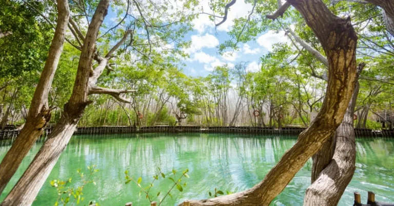 El Corchito en Yucatán: cómo llegar y qué hacer (Foto de Shutterstock)