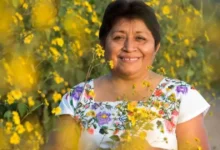 leydy pech, la apicultora maya que frenó a monsanto en méxico