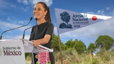 méxico planta 6.6 millones de árboles en un día