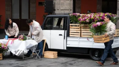 olinia presenta vehículos eléctricos para comerciantes y pequeños negocios