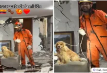 topos azteca realizan su primer rescate en colombia tras terremoto de 7.4