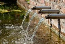 alertan por fraude con contratos de agua a domicilio en veracruz
