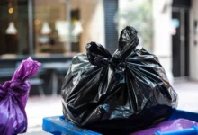 App Ruta X en Xalapa dará horarios de recolección de basura