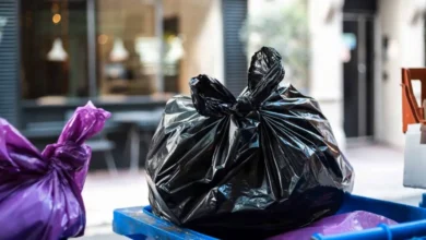 App Ruta X en Xalapa dará horarios de recolección de basura