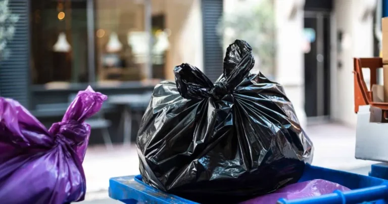 App Ruta X en Xalapa dará horarios de recolección de basura