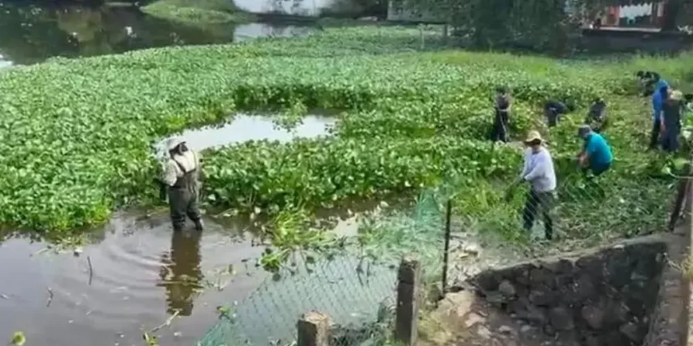onu habitat selecciona comité de lagunas de veracruz