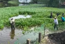 onu habitat selecciona comité de lagunas de veracruz
