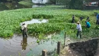 onu habitat selecciona comité de lagunas de veracruz