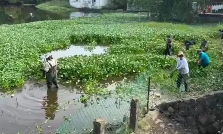 onu habitat selecciona comité de lagunas de veracruz